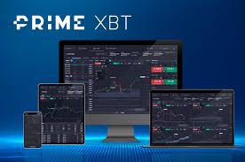 The Future of Trading A Comprehensive Guide to PrimeXBT