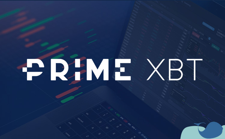 Discover the Advantages of Trading with PrimeXBT
