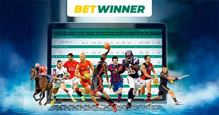 Exploring Betwinner Bets An In-Depth Look at Online Betting Opportunities